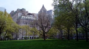 20170430_094221.jpg